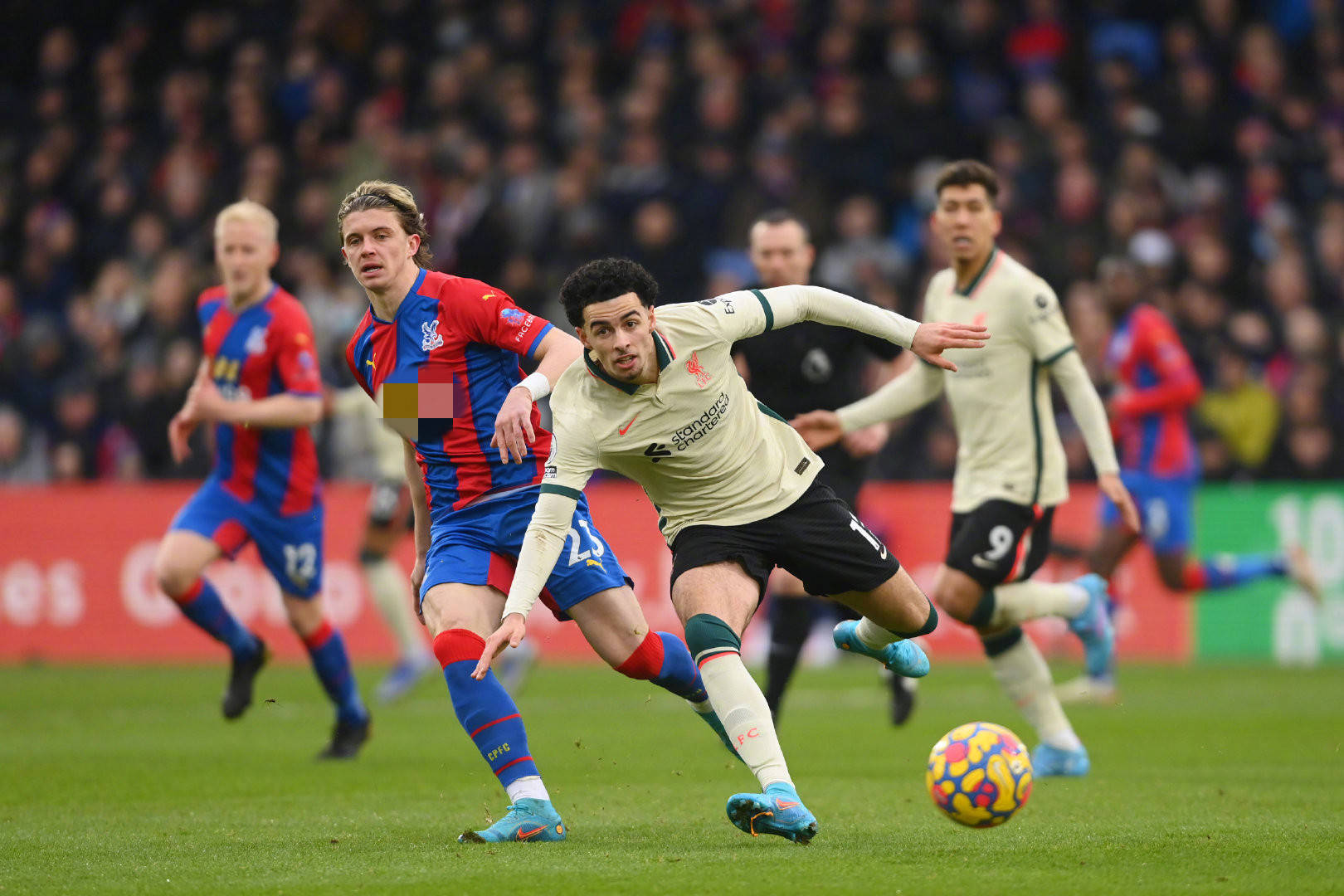 轉會補強 轉會補強